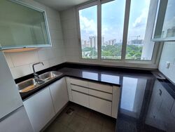 Clydes Residence (D8), Apartment #471323991